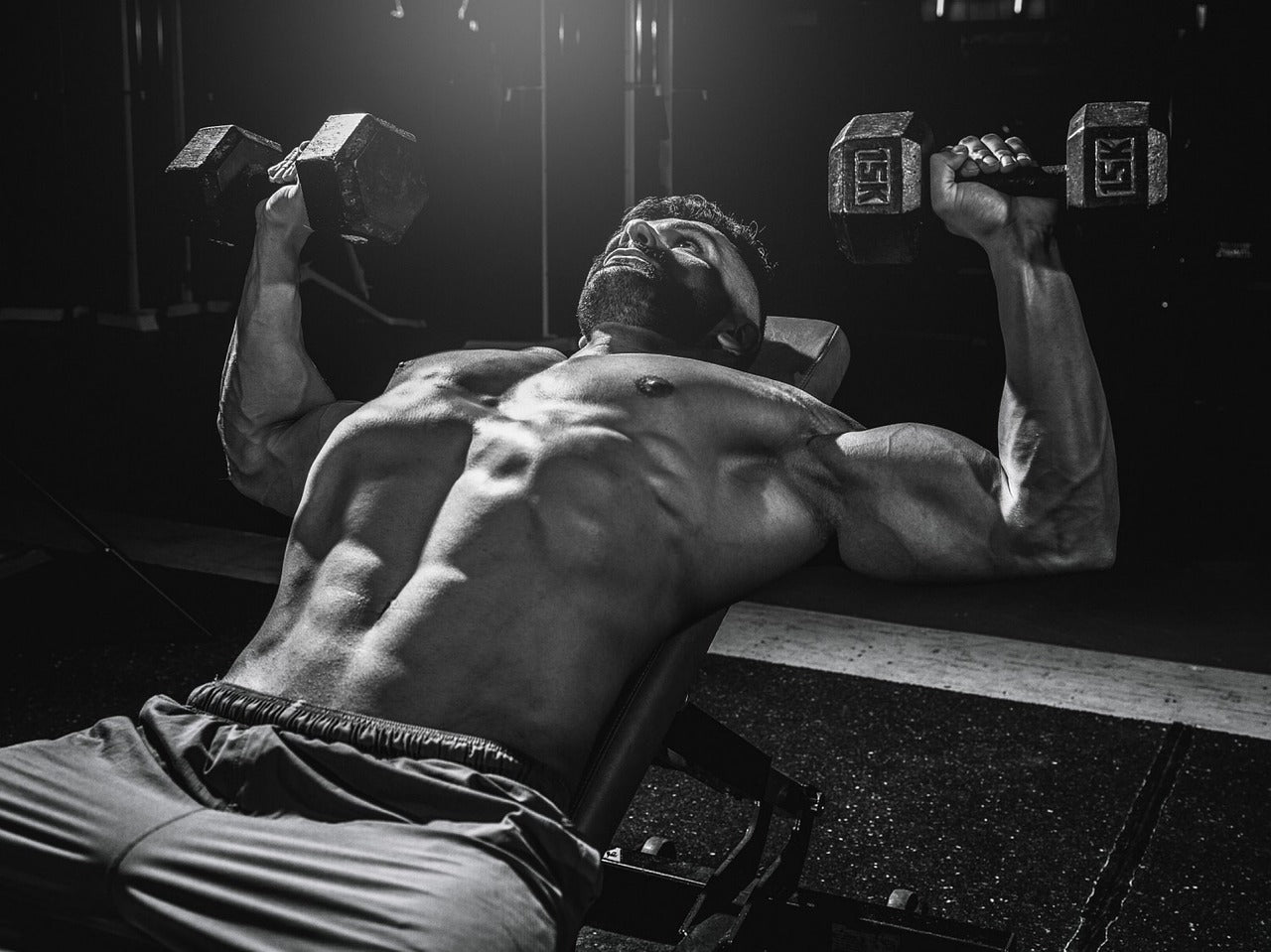 Plan Gym Gains