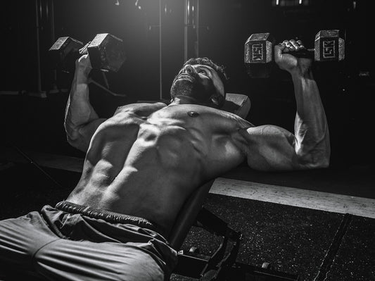 Plan Gym Gains